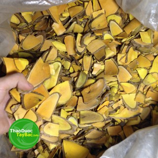Cây Mật Gấu Thái Lát