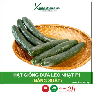 Hạt Giống Dưa Leo Nhật Phú Nông Gói 500 mg