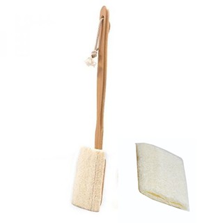 Cây chà lưng xơ mướp dài 40cm