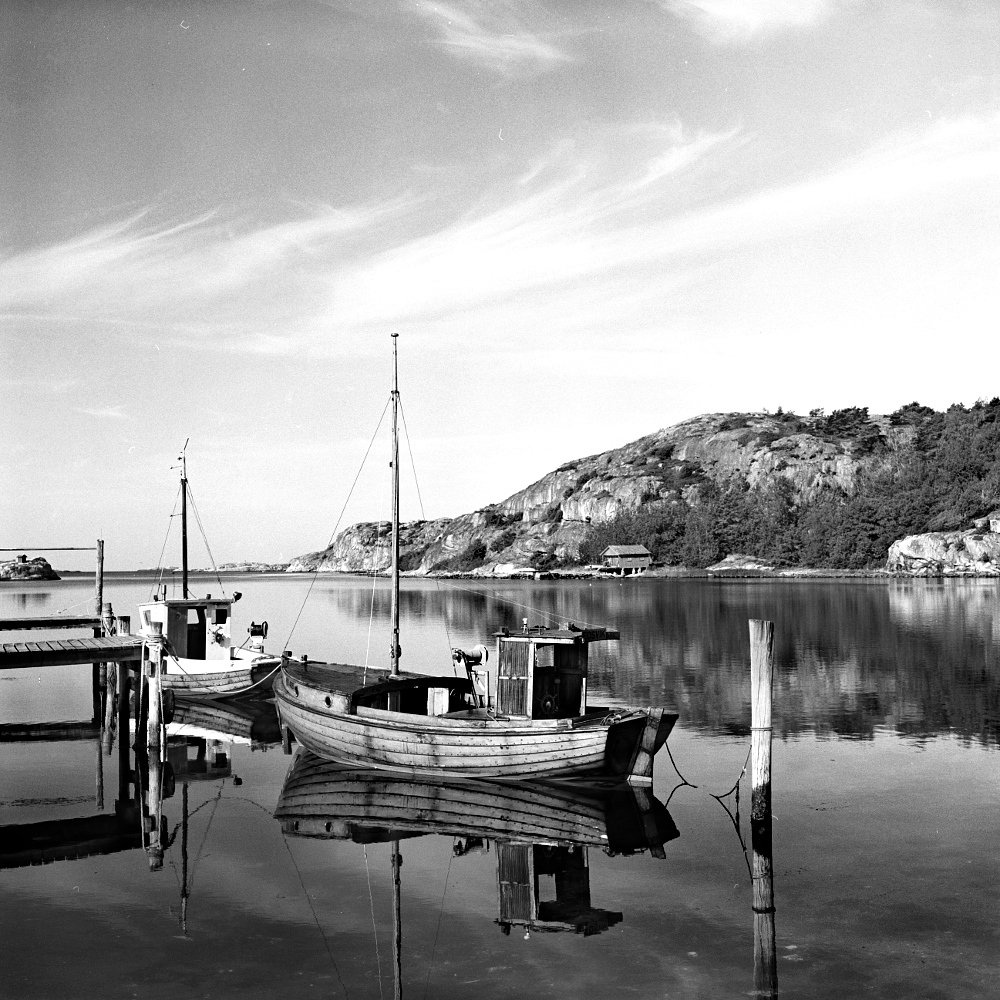 Phim Kodak 100 TMAX ISO 100, Đen Trắng B&W, 135/35mm x 36 Kiểu, In Date Cho Máy Chụp Ảnh Film - LIIQ Flash