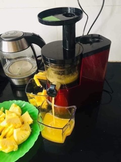 MÁY ÉP CHẬM SATVM