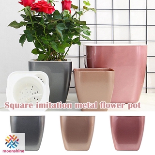 Chậu trồng cây tưới nước tự động