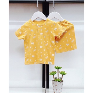 Bộ cotton cộc tay