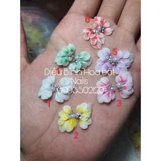 Hoa bột mẫu 2021