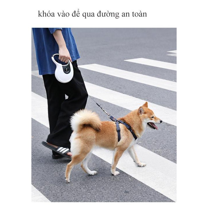 Dây dắt thú cưng đi dạo thu ngắn kéo dài KimPets (Trắng 5m) - HanruiOffical