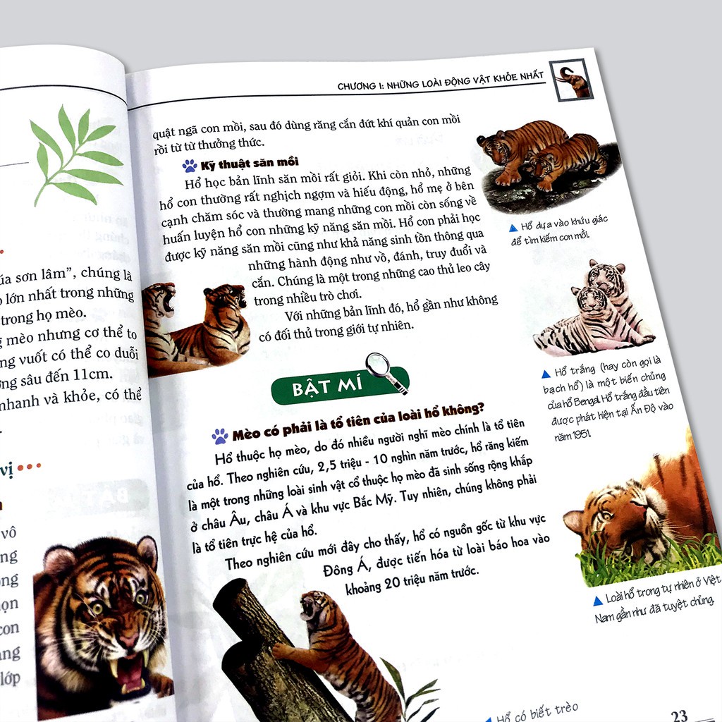 Sách: Khám Phá Bí ẩn Thế Giới Tự Nhiên - Dành Cho Học Sinh ( Hộp 5 cuốn) - TSTH