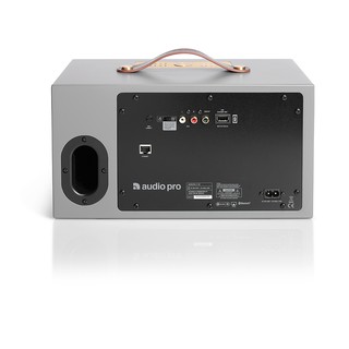 Loa Bluetooth Audio Pro Addon C10