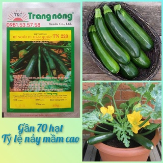 Gần 70 hạt giống bí ngòi xanh Trang Nông dễ trồng, năng suất cao
