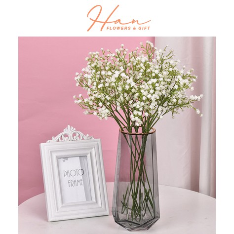 Hoa giả - hoa baby cao su giống thật 99% - phụ kiện chụp hình - Han decor
