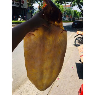 [SIÊU RẺ] 0,5KG MỰC LÁ ĐẠI DƯƠNG TO TRẮNG ĐẸP- THỊT DÀY [FREESHIP]