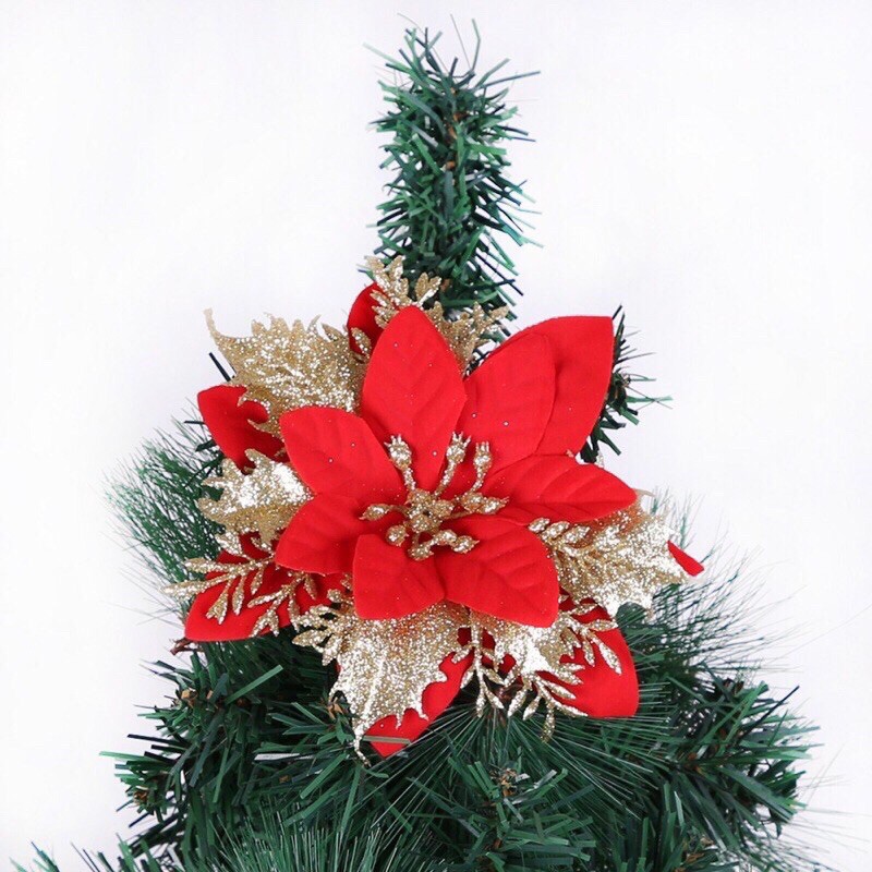 Hoa trạng nguyên nhũ trang trí Noel, cây thông, giáng sinh