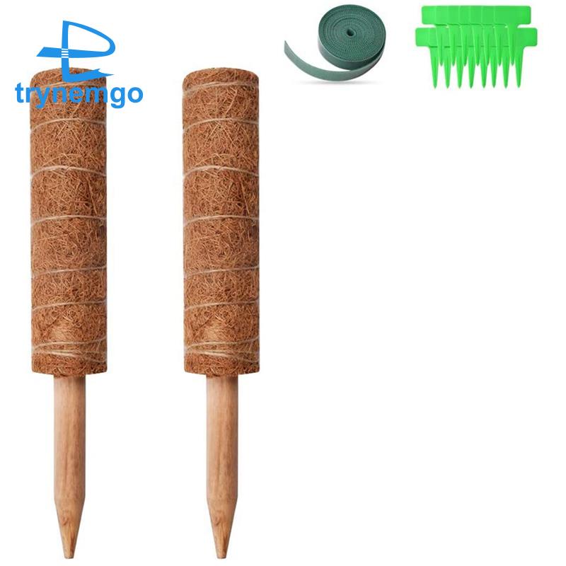 Cọc dừa dùng trồng cây quái vật