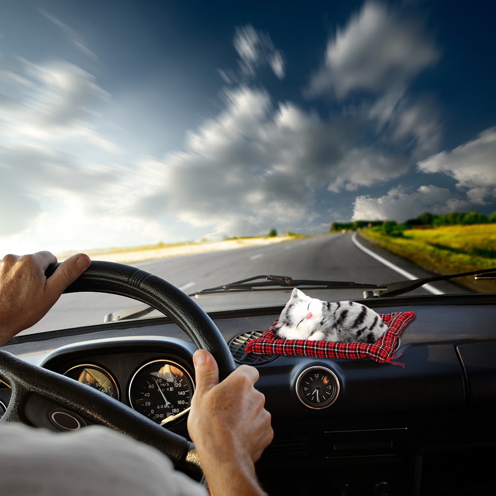 Đồ Chơi Mèo Nhồi Bông Đang Ngủ Dễ Thương Trang Trí Bảng Điều Khiển Xe Hơi