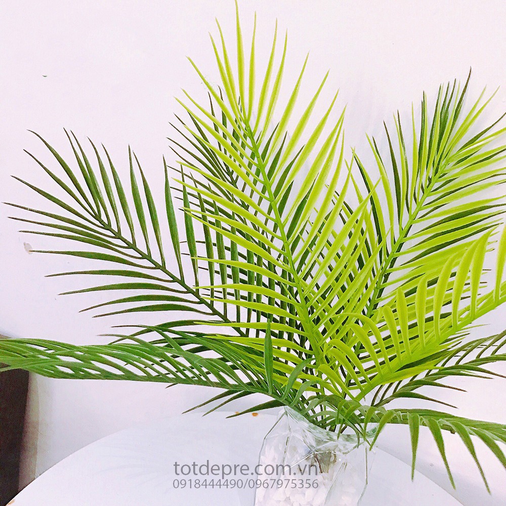 Cây Dừa Cảnh 50cm - Cây Nhựa Cao Cấp