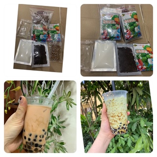 Sét làm trà sữa thái xanh - trà sữa thái đỏ chuẩn thái lan