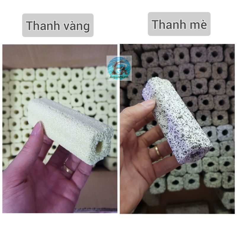SỨ THANH VÀNG HOA MAI| THANH MÈ (10x3,2cm) - 1 thanh