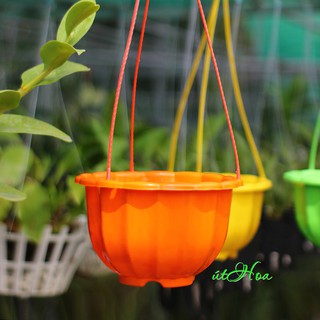 Chậu Treo Bông Bí Đủ Màu ( Nhựa 21x15cm)
