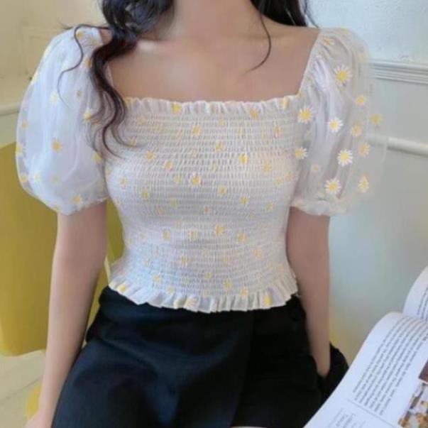 ÁO NHÚN IN HOA CÚC TAY NGẮN