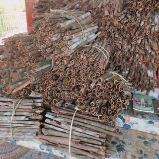 500g vỏ quế rừng khô ảnh thật tự chụp ,sẵn sll