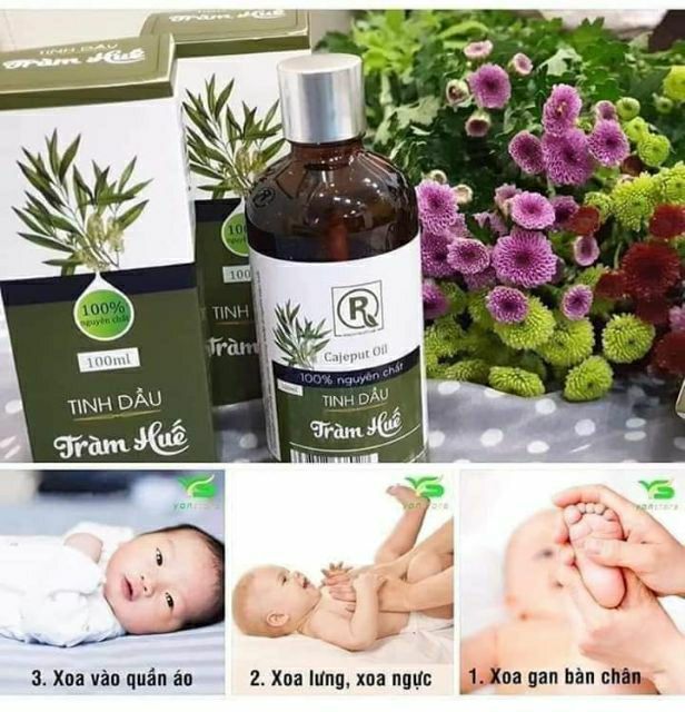 Tinh Dầu Tràm Huế