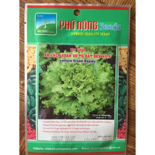Hạt giống Xà Lách Xoăn Sư Tử Hạt Đen Phú Nông