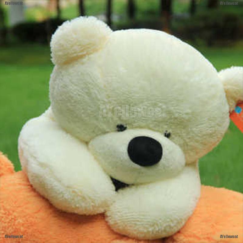 Gấu Teddy Nhồi Bông Cỡ Lớn 60-80cm