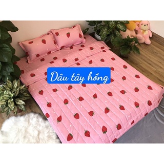Chăn Hè Trần Bông Vải Mềm[Được chọn mẫu trên bài đăng] MẪU DÂU TÂY HỒNG