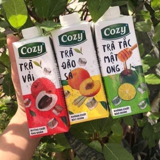 Trà cozy pha sẵn 1 lốc