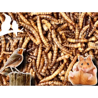 Sâu trung sấy khô bổ dưỡng - thức ăn: hamster, gà, chim cảnh, sóc bay... (dễ bảo quản)