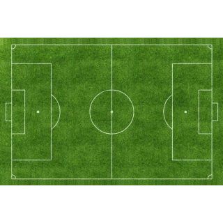 Tranh 3D dán bể cá