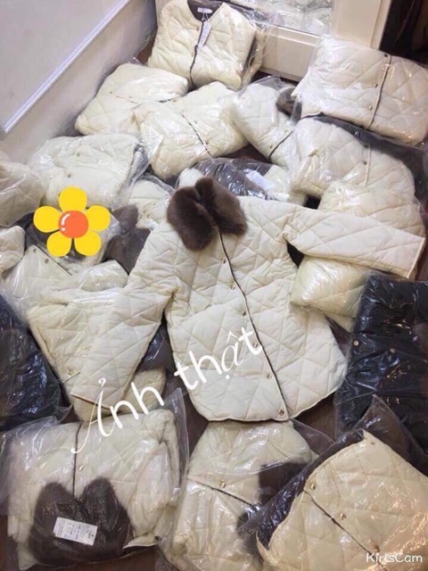 Áo phao trần trám