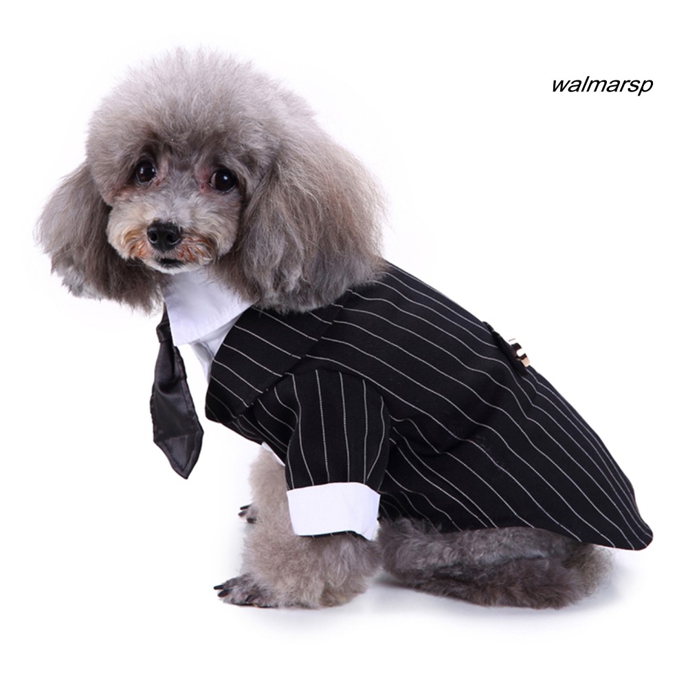 Áo Vest Nơ Thời Trang Cho Thú Cưng