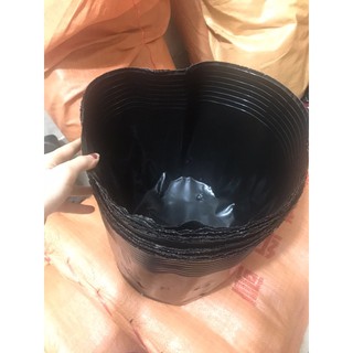 1kg túi bầu/ bầu ươm cây 45*35(12 cái/kg)