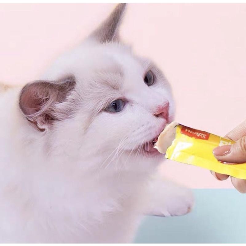 Snack thưởng dạng kem súp cho mèo Wanpy Treats 14g*5