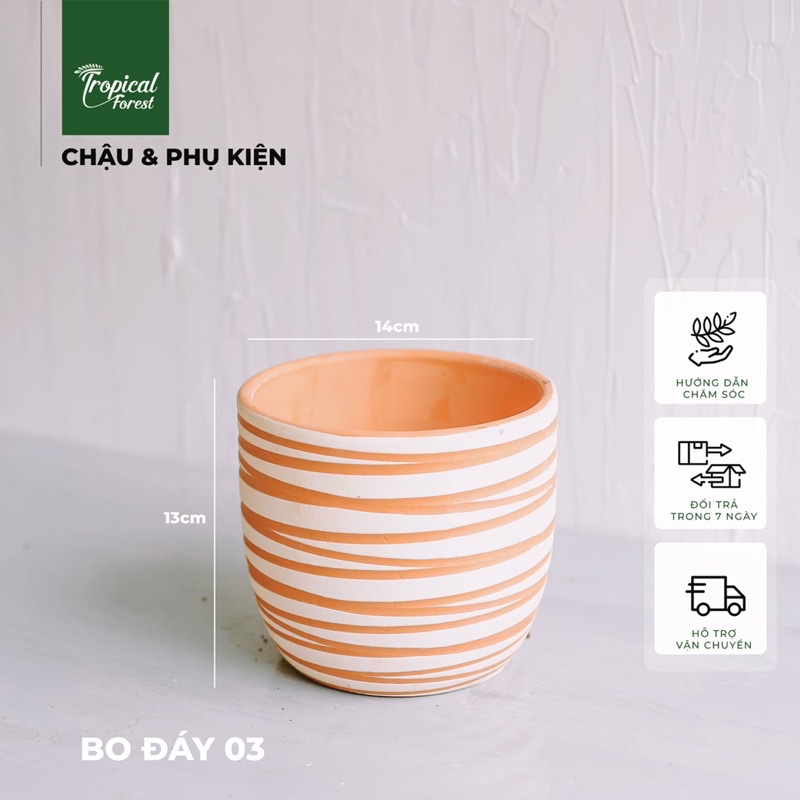 Chậu đất nung hoạ tiết TROPICAL FOREST