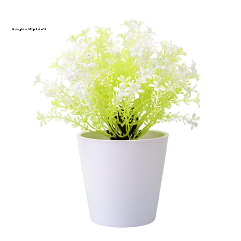 Chậu Cây Bonsai Giả Trang Trí Nhà Cửa