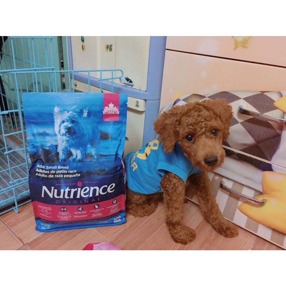 Thức Ăn Cho Chó Chihuahua Nutrience Original Bao 2,5kg Dầu Cá Hồi, Da Lông Bóng Mượt - Thịt Gà, Rau Củ Quả, Trái Cây