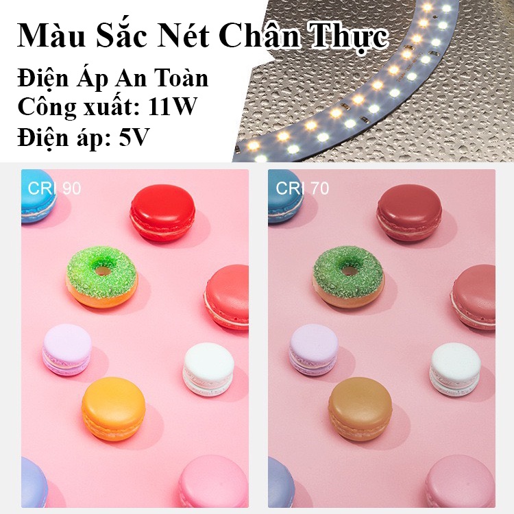 Hộp chụp sản phẩm Puluz Có sẵn Đèn Led xếp gọn tiện lợi 20cm 25cm 30cm 40cm 60cm 80cm 200cm Puluz Việt Nam