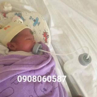 10 núm Bình gấu