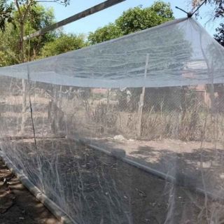 Lồng nuôi cào cào 3x2x2