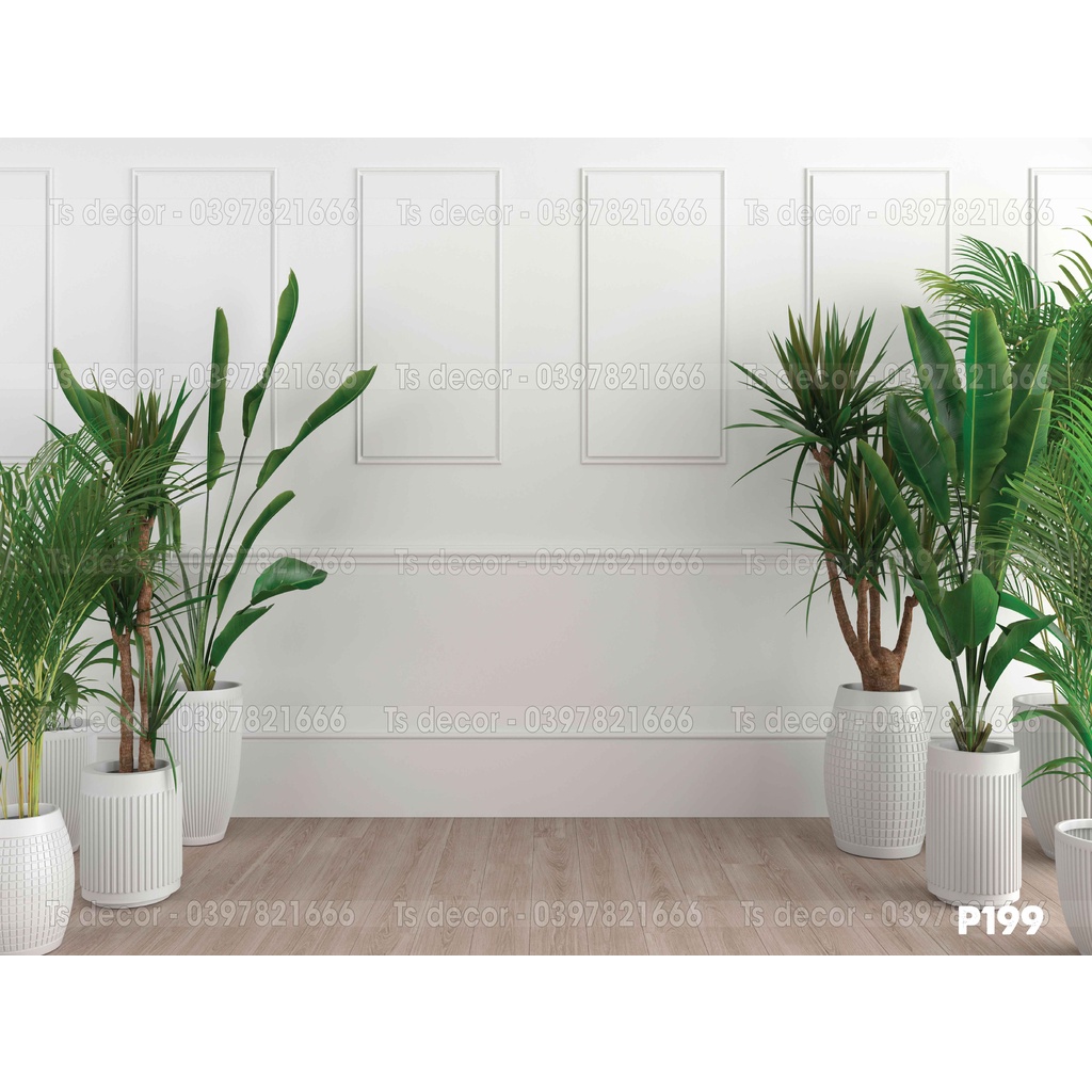 Phông nền chụp ảnh livestream 3D 5D sang trọn