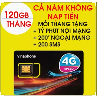 SIM VINA VD149 - BIG 2G ( Miễn phí gọi nghe, lướt web 12 tháng )