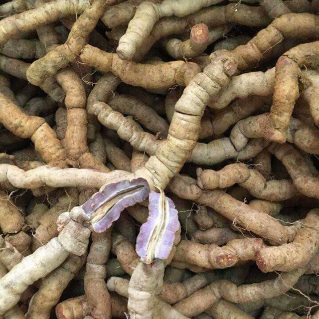 1kg ba kích tím quảng ninh hàng chọn loại 1