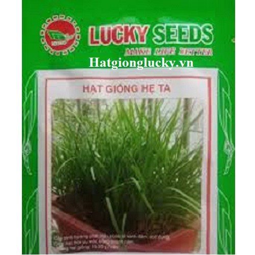 Hạt Giống Rau Hẹ Ta Dễ Trồng Lucky Seeds - Túi 10 Gam.