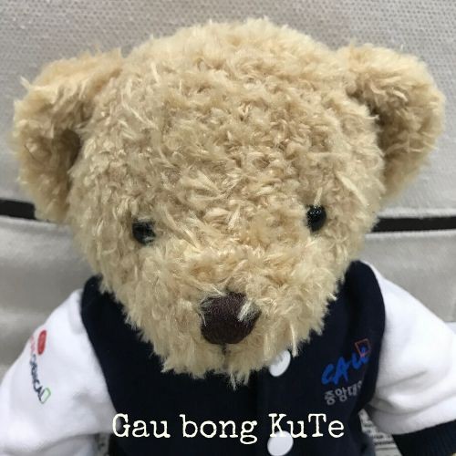 Gấu bông Teddy