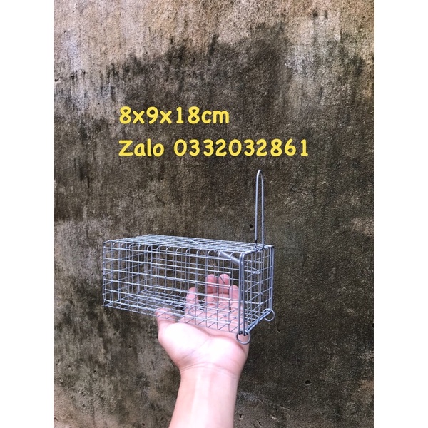 15 lồng chuột đường mòn.8.9.18 chì