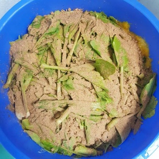 Chế phẩm vi sinh Trichoderma 1kg