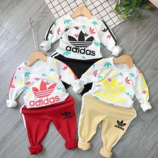 combo bộ das 2020 size 7÷20kg