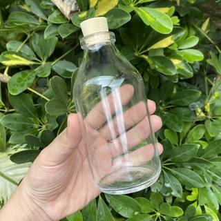 Chai thủy tinh 300ml kèm nút bần - đựng sữa, nước ép, mật ong, decor phòng