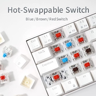 Switch phím cơ máy tính Dovito trục cơ bàn phím Blue Switch/Red Switch/Brown Switch/Black Switch